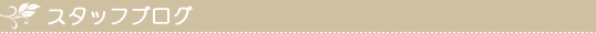 スタッフブログ