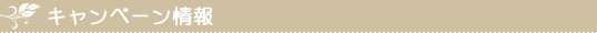 キャンペーン情報